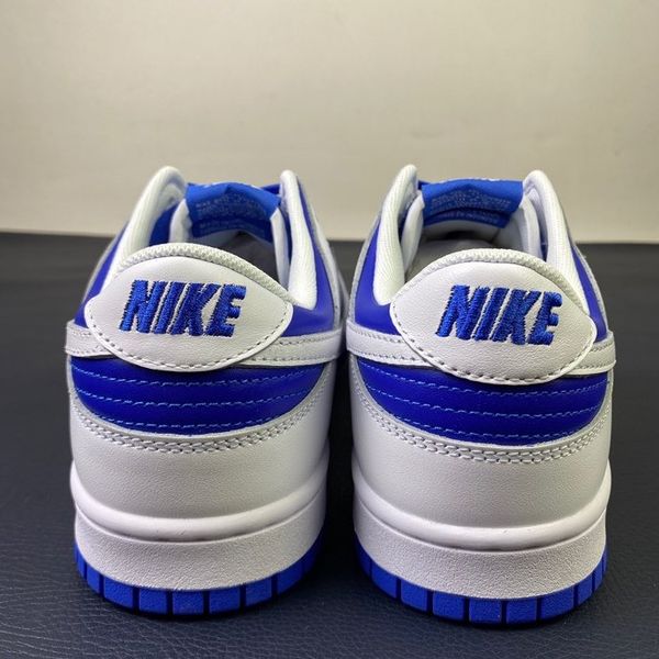 Dunk Low Racer Blue White  DD1391-401