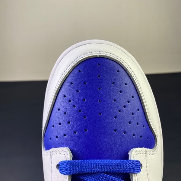 Dunk Low Racer Blue White  DD1391-401
