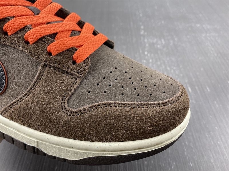 SB Dunk Low Bright Side DQ8801-200