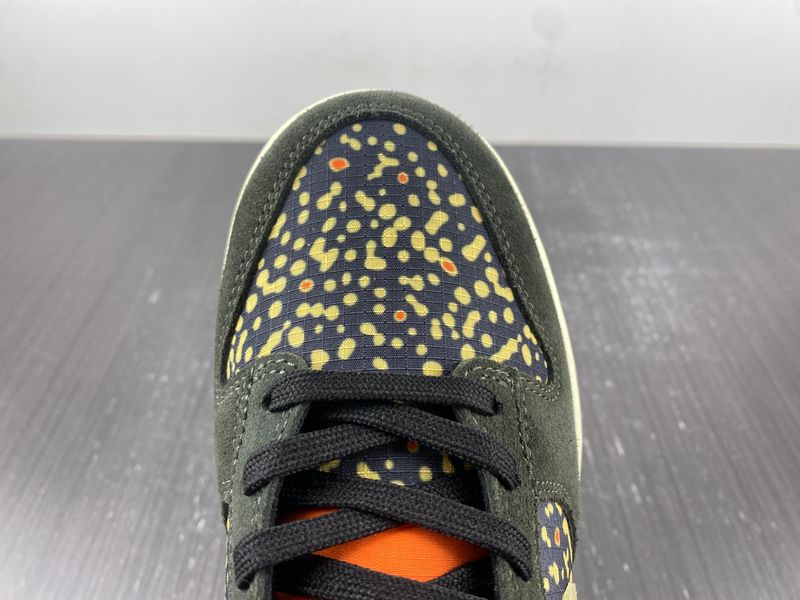 Dunk Low Rainbow Trout Dunk Low Rainbow Trout