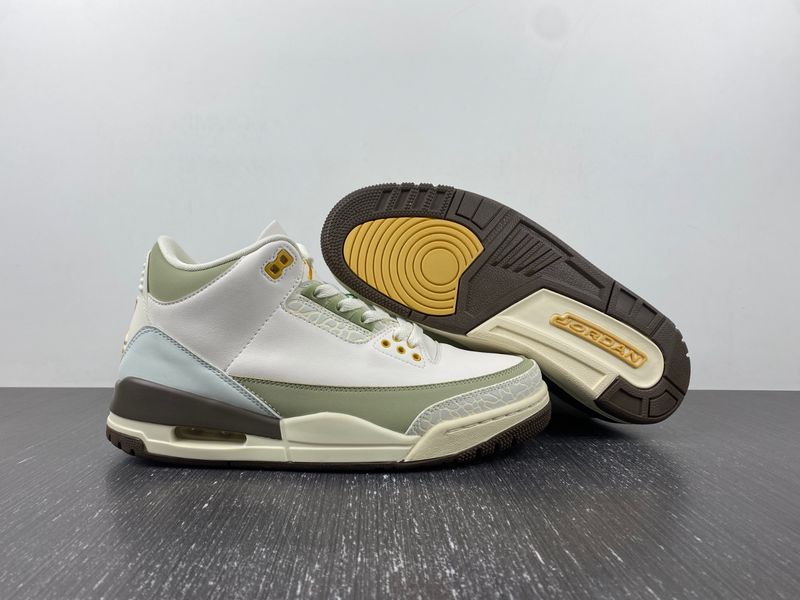 Air Jordan 3 Retro DX6660-800