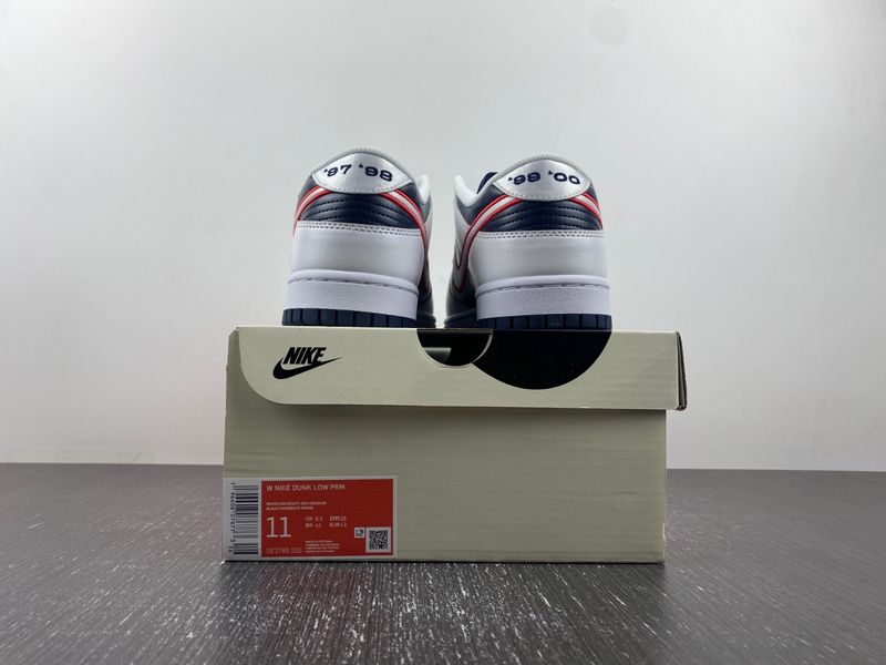 Dunk Low Houston Comets Four-Peat DZ2780-100