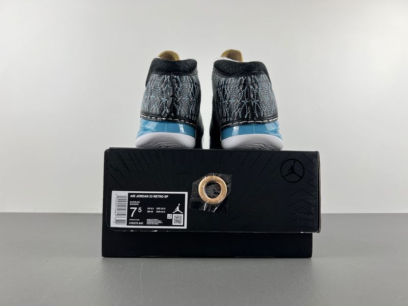 Air Jordan 23 UNC  318376-041