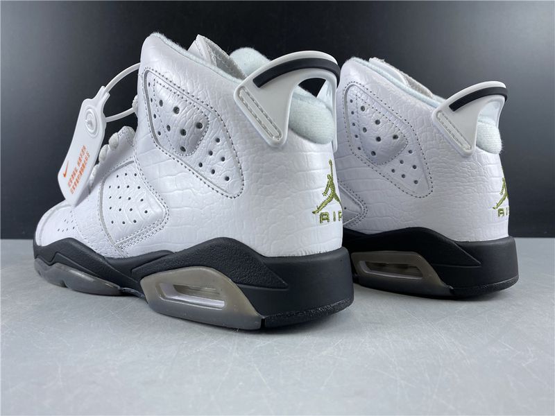Air Jordan 6 Retro Alligator  384665-110