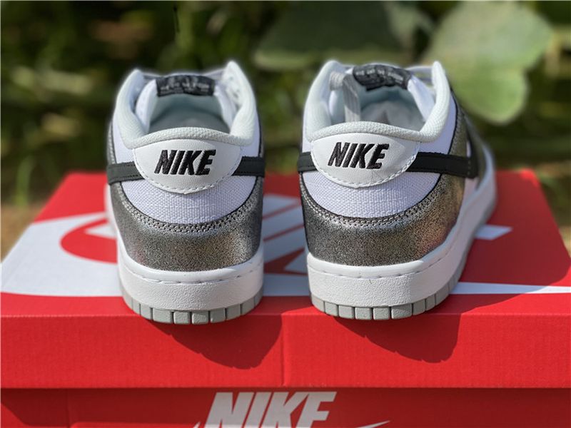 Nike SB Dunk Low DO5882-001