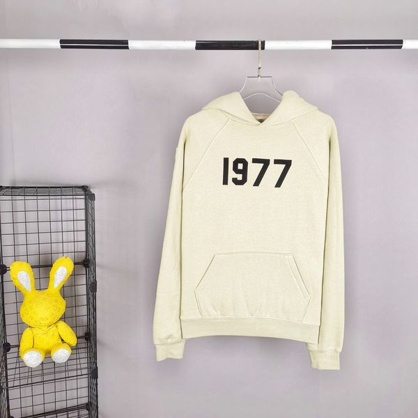E*ssentials Hoodies Top Quality WM 20230925-93