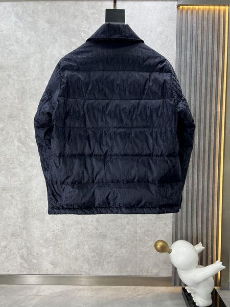 D*ior Down Coat Top Quality AZ 20231023-62