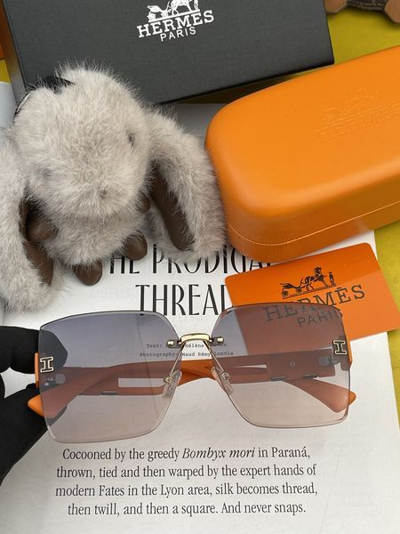 H*ermes Glasses Top XX 20240328-13