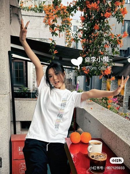 D*ior T-shirt Top Quality D17 20240401-16