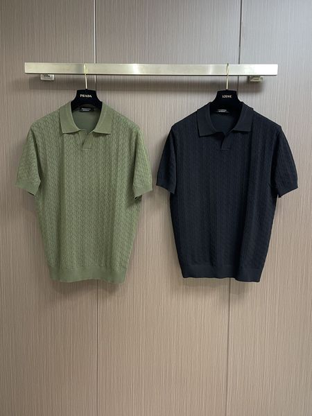 Z*egna POLO Top Quality D17 20240405-30