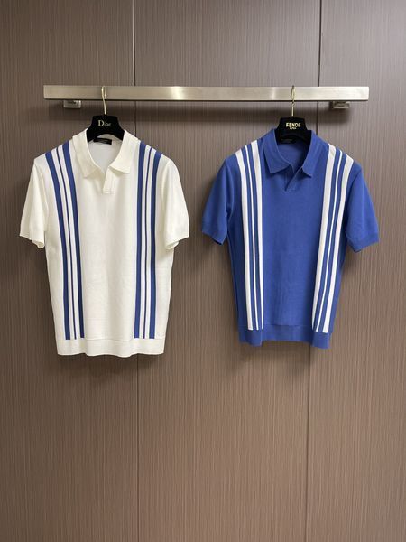 Z*egna POLO Top Quality D17 20240405-34