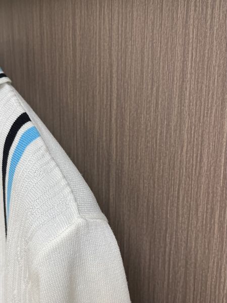 Z*egna POLO Top Quality D17 20240405-35