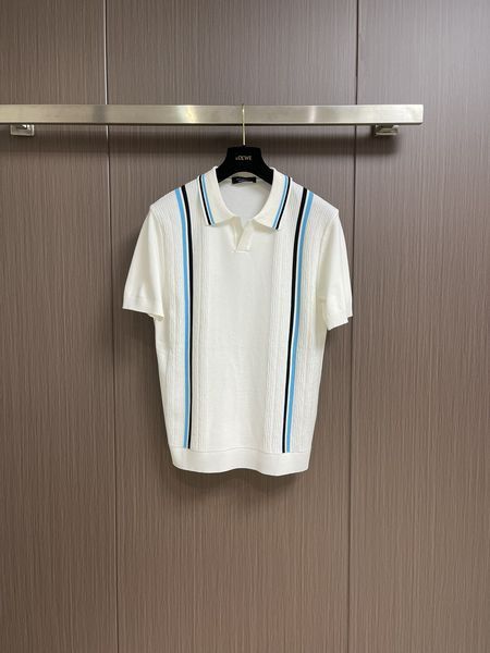 Z*egna POLO Top Quality D17 20240405-35