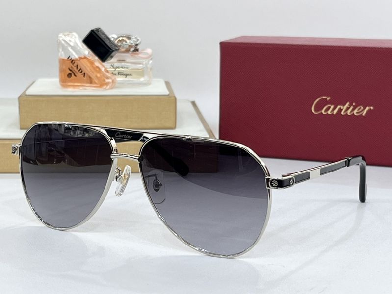 C*artier  Glasses Top XX 20240416-6