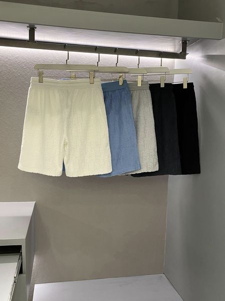 D*ior Pants Top Quality D17 20240422-19