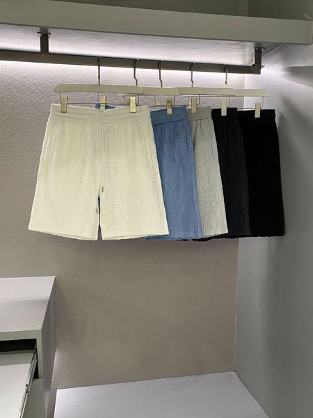 D*ior Pants Top Quality D17 20240422-19