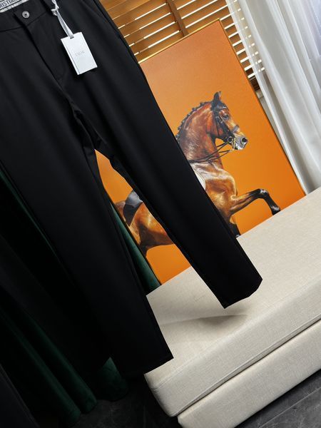 D*ior Pants Top Quality D17 20240425-32