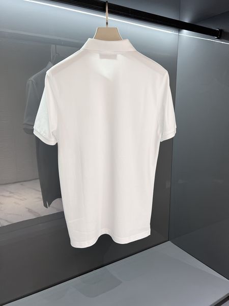 D*G POLO Top Quality D17 20240501-3