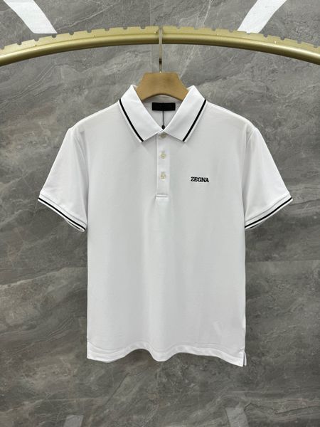 Z*egna POLO Top Quality D17 20240508-35
