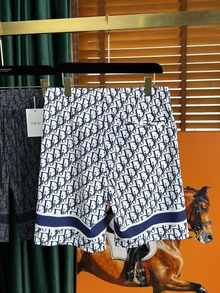 D*ior Pants Top Quality D17 20240514-17