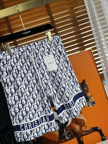 D*ior Pants Top Quality D17 20240514-17