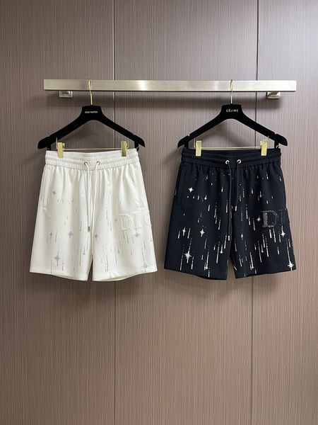 D*ior Pants Top Quality D17 20240521-17