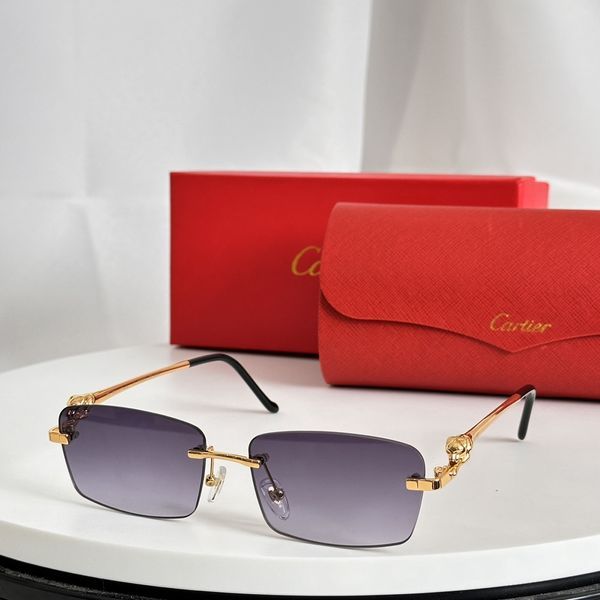 C*artier Glasses Top XX 20240620-1