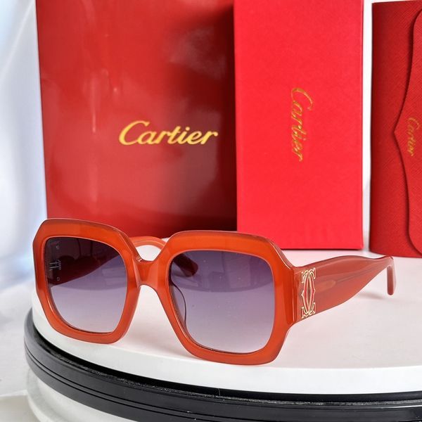 C*artieGlasses Top XX 20240717-9