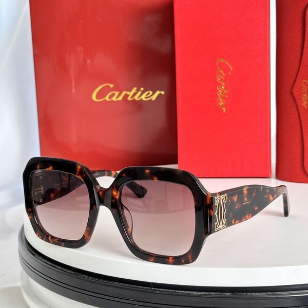 C*artieGlasses Top XX 20240717-9