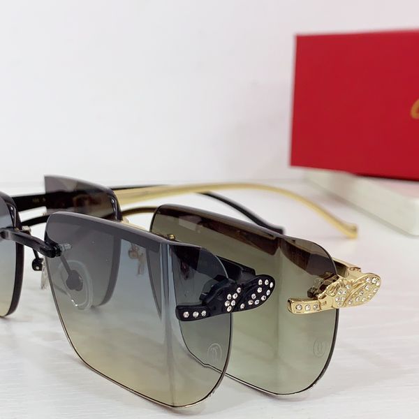 C*artie Glasses Top XX 20240718-79