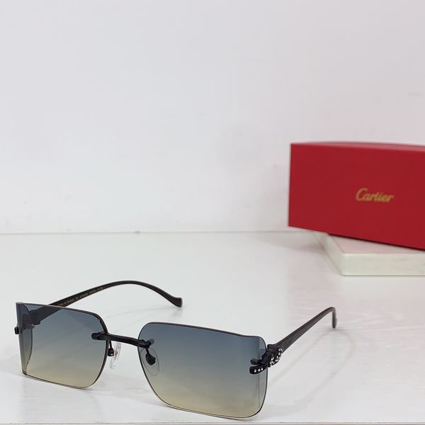 C*artie Glasses Top XX 20240718-79