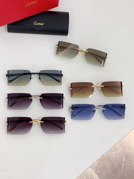 C*artie Glasses Top XX 20240718-79