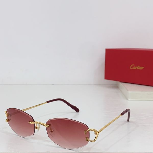 C*artie Glasses Top XX 20240718-86