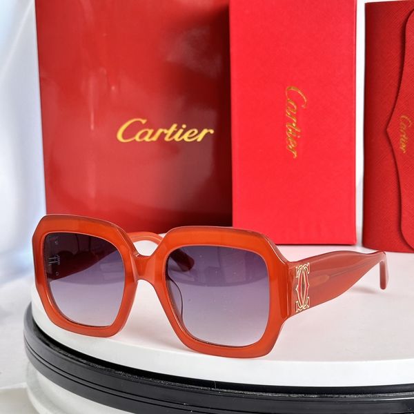 C*artieGlasses Top XX 20240717-9