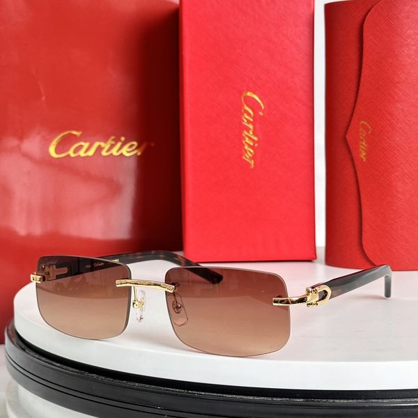 C*artier Glasses Top XX 20240721-70