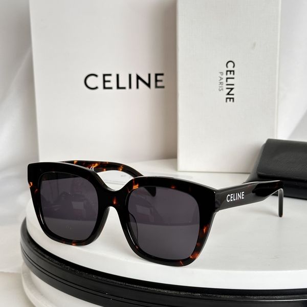 C*ELINE  Glasses Top XX 202400802-9