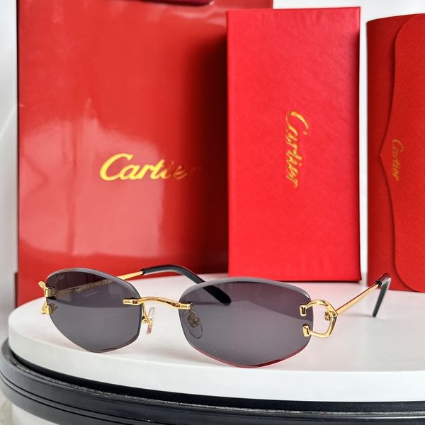 C*artie Glasses Top XX 20240802-20