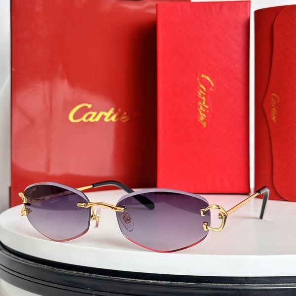 C*artie Glasses Top XX 20240802-20