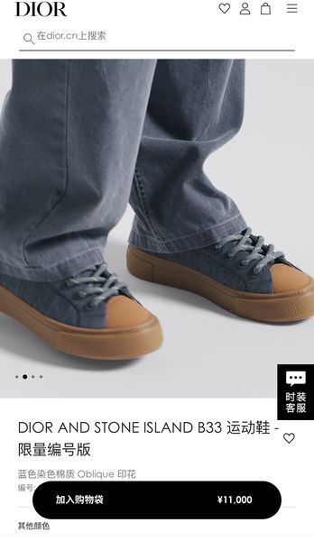 D*ior Top  Sneaker Low RR 20240815-21