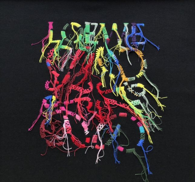 L*oewe  Hoodies Top Quality D17 20240819-52