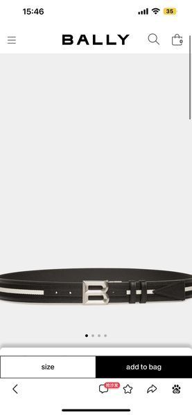 B*urberrry Belts  XX  20250115-12
