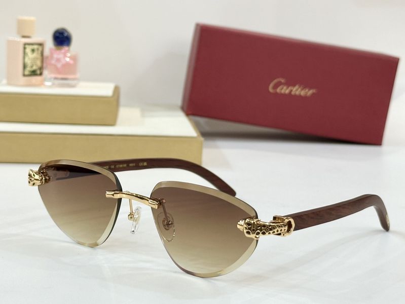 C*artie Glasses Top XX 20250401-3