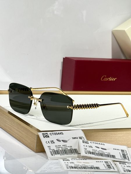 C*artie Glasses Top XX 20250401-21