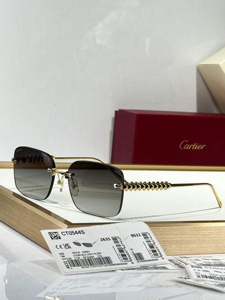 C*artie Glasses Top XX 20250401-21