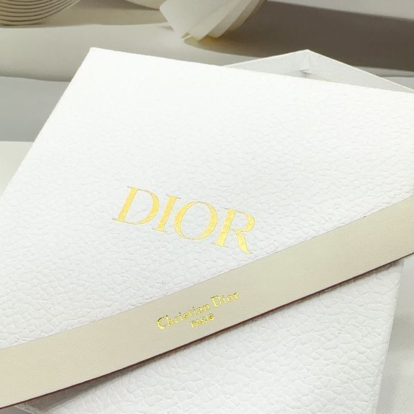 D*ior Top Belts  AT 20250403-5