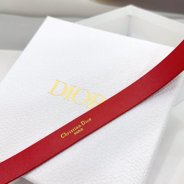 D*ior Top Belts  AT 20250403-6