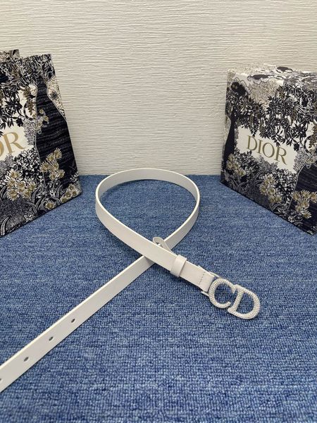 D*ior Top Belts  AT 20250405-48