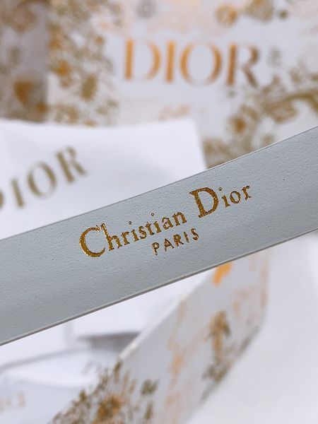 D*ior Top Belts  AT 20250407-8