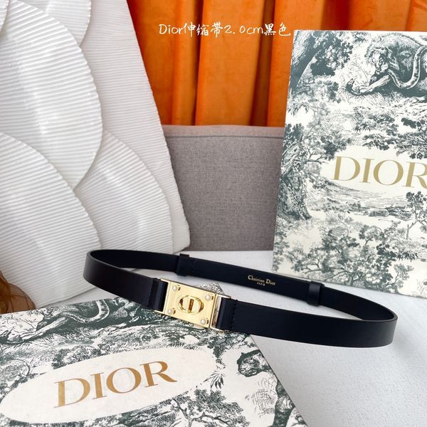 D*ior Top Belts  AT 20250407-79