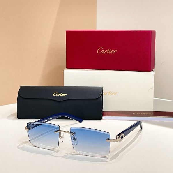 C*artie Glasses Top XX 20250414-1